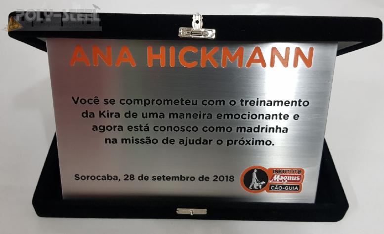 Placa de Reconhecimento